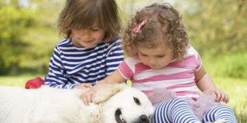 Dog Breeds That are Great For Families with Small Children
