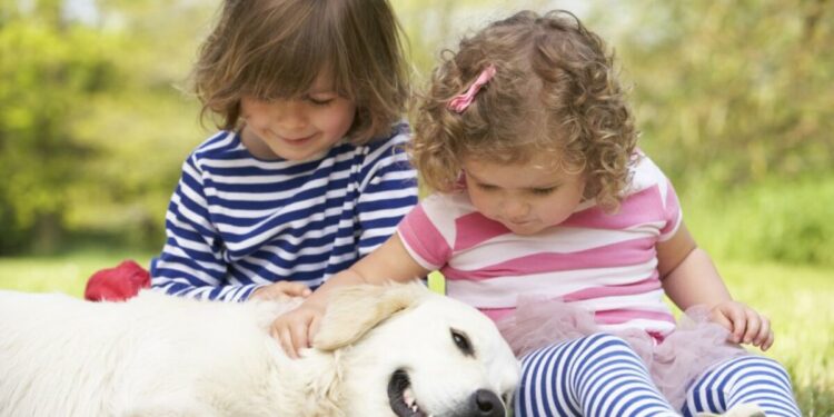 Dog Breeds That are Great For Families with Small Children