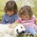 Dog Breeds That are Great For Families with Small Children