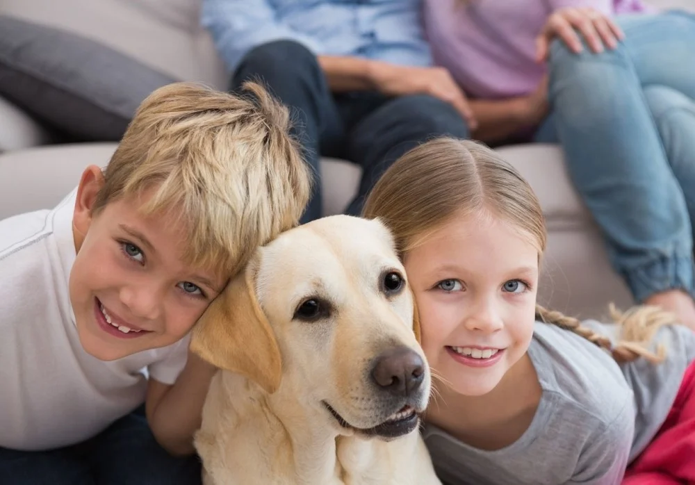 Labrador Retriever with family with children