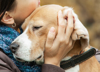 Pet Memorial Gifts: Thoughtful Ways to Comfort a Grieving Pet Owner