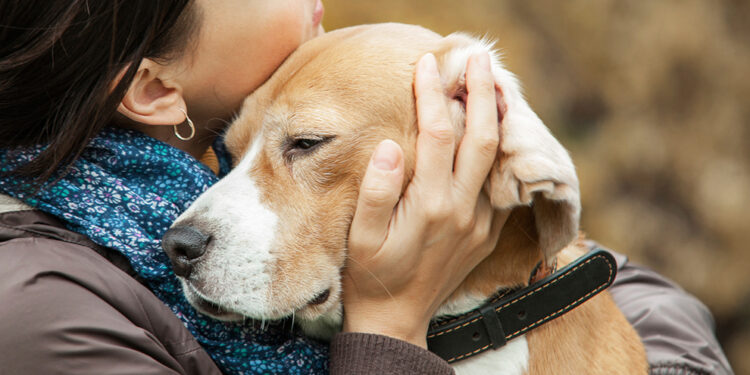 Pet Memorial Gifts: Thoughtful Ways to Comfort a Grieving Pet Owner