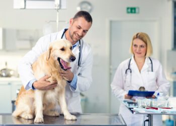 Veterinary Teleradiology