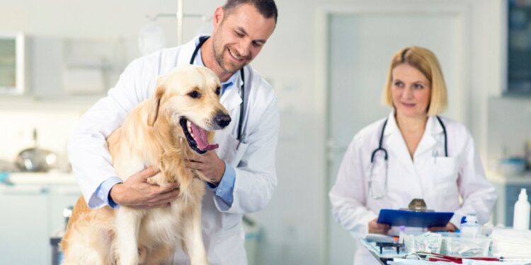 Veterinary Teleradiology