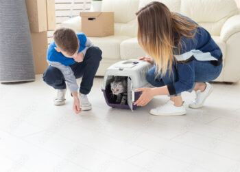 How to Prepare Your Home for a New Cat: Essential Steps for a Smooth Transition Slim young mother and little son launch their beautiful gray Scottish Fold cat into their new apartment in the living room. The concept of tradition with housewarming.