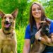 What to Know About Dog Training in Madison, WI Dog Training in Madison