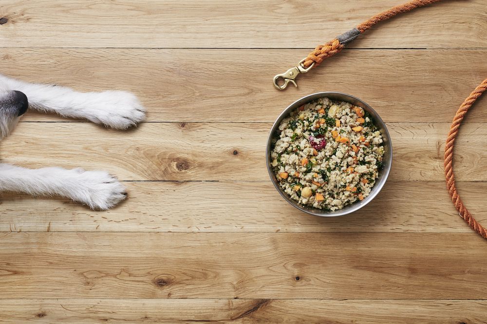 The Role of Natural Dog Treats in a Balanced Canine Diet organic food for dog