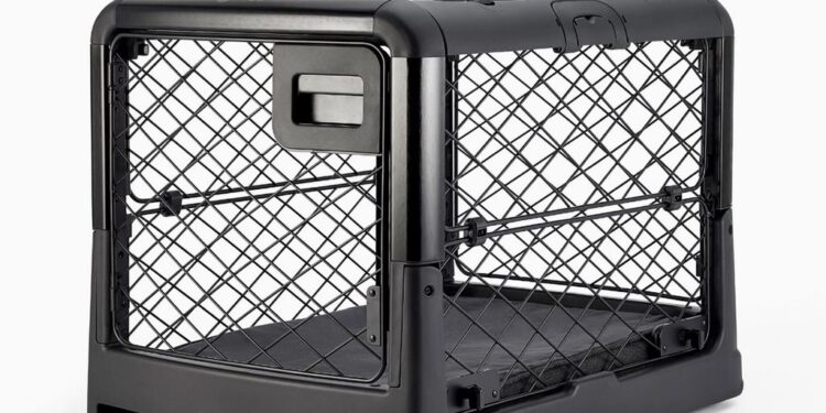 Dog Crates for Fishing Trips: A Must-Have for Outdoor Adventures