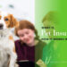 What is Pet Insurance in the UK and Why It Exists? What is Pet Insurance in the UK