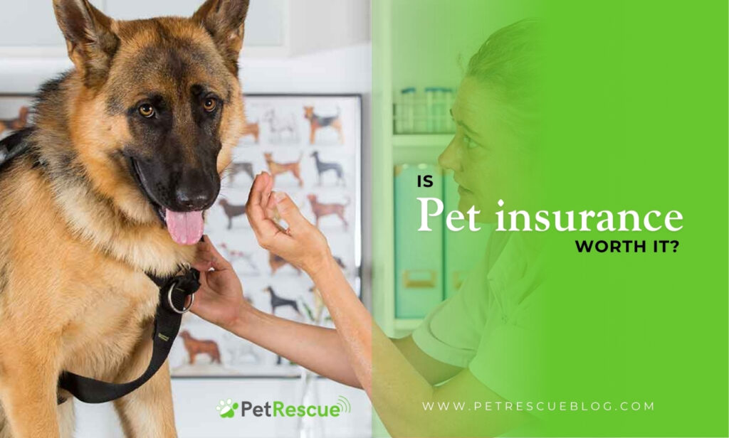 is pet insurance worth it