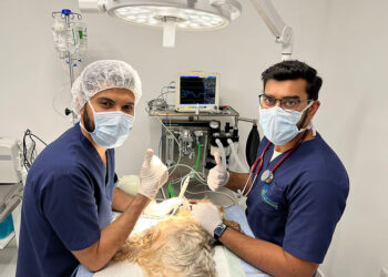 Veterinary Surgery Insurance