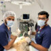 A Guide to Veterinary Surgery Insurance Veterinary Surgery Insurance