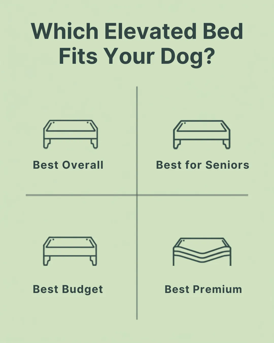 Top 10 Elevated Dog Beds for Cooler, More Comfortable Rest Elevated Dog Beds Comparison