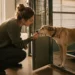 RSPCA Adoption Requirements UK Explained: What You Actually Need Before You Apply RSPCA Adoption Requirements