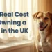 The Real Cost of Owning a Dog in the UK The Real Cost of Owning a Dog in the UK