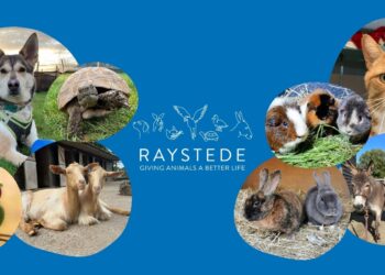 Raystede Centre for Animal Welfare: An Independent Guide to Adoption and Visiting Raystede