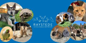 Raystede