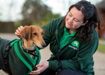 Woodgreen Pets Charity