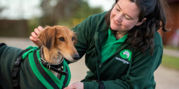 Woodgreen Pets Charity