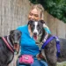 Battersea Dogs and Cats Home: An Independent Guide to Rehoming, Fees and Support battersea the rehoming charity organisation