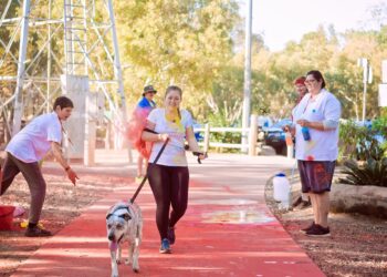 Dogs Trust: An Independent Guide to Adoption, Rehoming Centres and Support the color run, colorful life, colorful, run, color run, sports, sports shoes, running