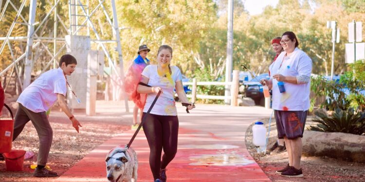 Dogs Trust: An Independent Guide to Adoption, Rehoming Centres and Support the color run, colorful life, colorful, run, color run, sports, sports shoes, running